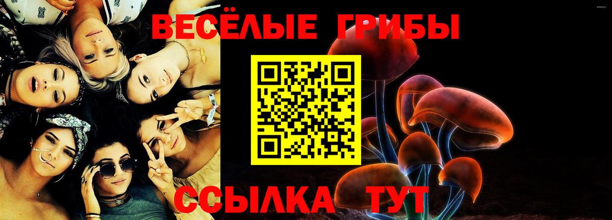 что такое   Псилоцибиновые грибы мицелий  Вход с VPN  Гудермес 
