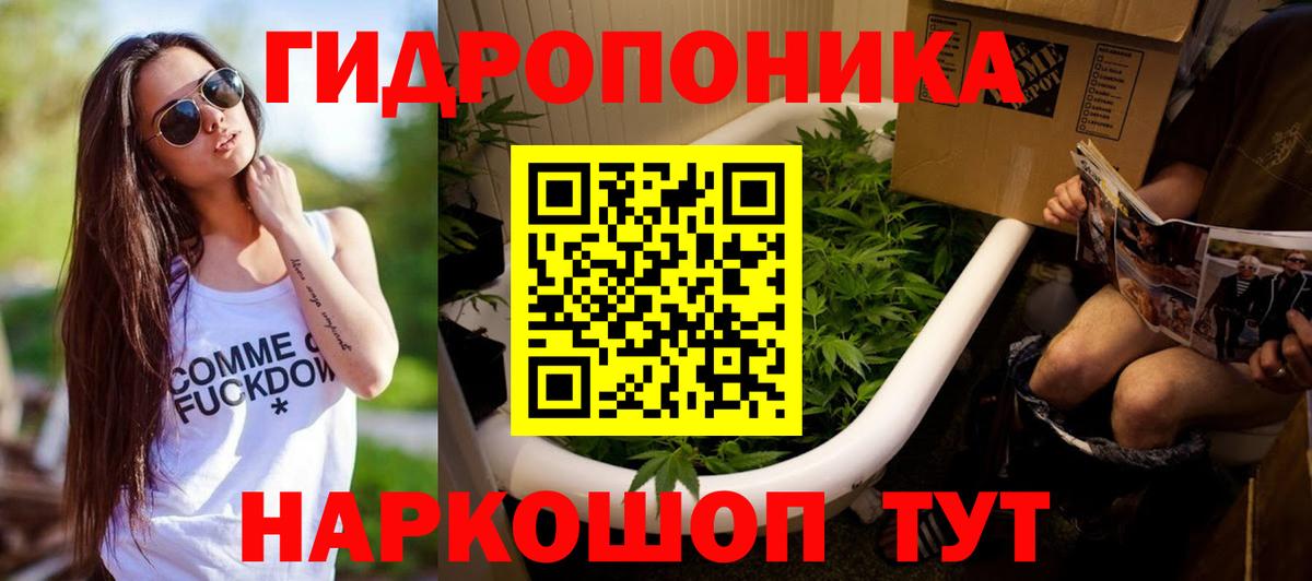 Бошки Шишки план Гудермес